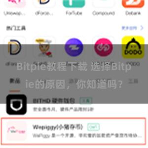 Bitpie教程下载 选择Bitpie的原因，你知道吗？