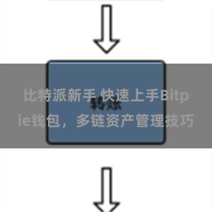 比特派新手 快速上手Bitpie钱包，多链资产管理技巧