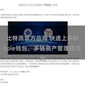 比特派官方应用 快速上手Bitpie钱包，多链资产管理技巧