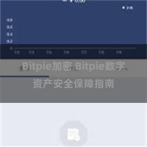 Bitpie加密 Bitpie数字资产安全保障指南