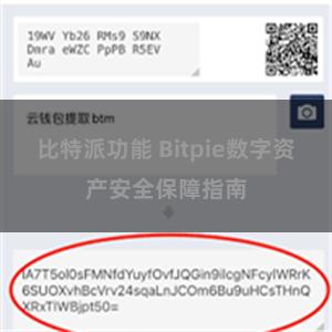 比特派功能 Bitpie数字资产安全保障指南