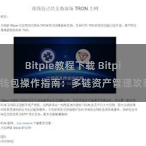 Bitpie教程下载 Bitpie钱包操作指南：多链资产管理攻略