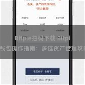 Bitpie扫码下载 Bitpie钱包操作指南：多链资产管理攻略