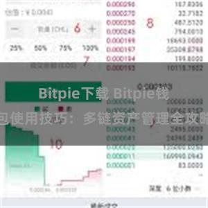 Bitpie下载 Bitpie钱包使用技巧：多链资产管理全攻略