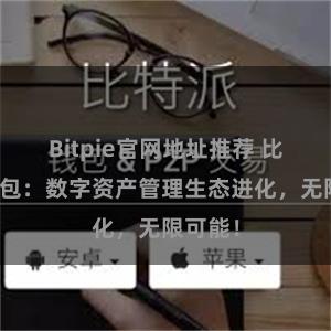 Bitpie官网地址推荐 比特派钱包：数字资产管理生态进化，无限可能！