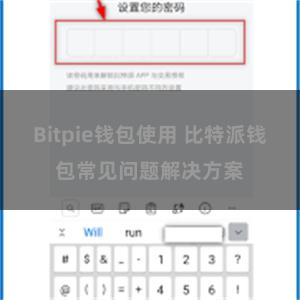 Bitpie钱包使用 比特派钱包常见问题解决方案