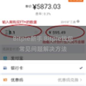 Bitpie新手 Bitpie钱包常见问题解决方法