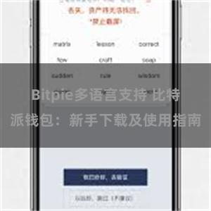 Bitpie多语言支持 比特派钱包：新手下载及使用指南