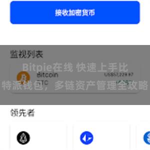 Bitpie在线 快速上手比特派钱包，多链资产管理全攻略