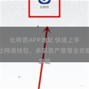 比特派APP地址 快速上手比特派钱包，多链资产管理全攻略