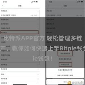 比特派APP官方 轻松管理多链资产，教你如何快速上手Bitpie钱包！