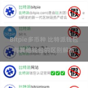 Bitpie多币种 比特派钱包与其他钱包的区别解析