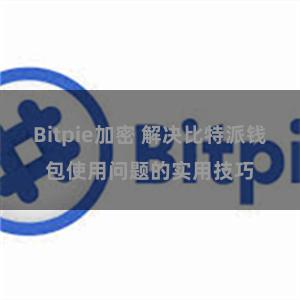 Bitpie加密 解决比特派钱包使用问题的实用技巧