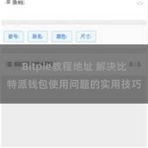 Bitpie教程地址 解决比特派钱包使用问题的实用技巧