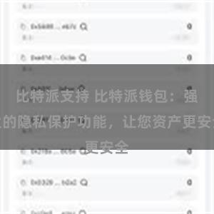 比特派支持 比特派钱包：强大的隐私保护功能，让您资产更安全