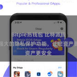 Bitpie热钱包 比特派钱包：强大的隐私保护功能，让您资产更安全