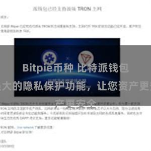 Bitpie币种 比特派钱包：强大的隐私保护功能，让您资产更安全