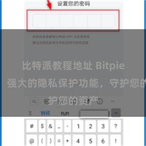 比特派教程地址 Bitpie钱包：强大的隐私保护功能，守护您的资产