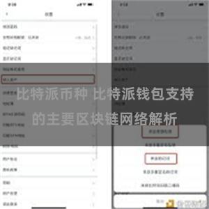 比特派币种 比特派钱包支持的主要区块链网络解析