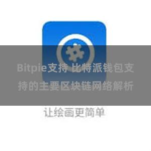 Bitpie支持 比特派钱包支持的主要区块链网络解析