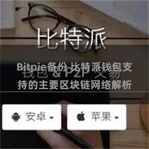 Bitpie备份 比特派钱包支持的主要区块链网络解析