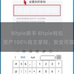 Bitpie新手 Bitpie钱包：资产100%自主掌控，安全可靠。