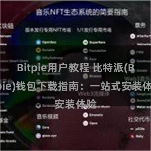 Bitpie用户教程 比特派(Bitpie)钱包下载指南：一站式安装体验