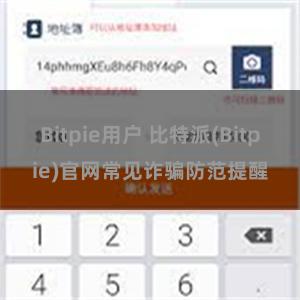 Bitpie用户 比特派(Bitpie)官网常见诈骗防范提醒