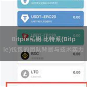 Bitpie私钥 比特派(Bitpie)钱包的团队背景与技术实力