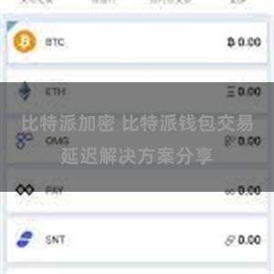 比特派加密 比特派钱包交易延迟解决方案分享