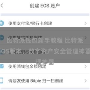 比特派钱包新手教程 比特派iOS版本，数字资产安全管理神器