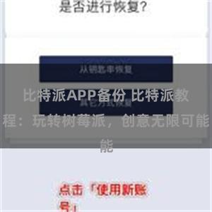 比特派APP备份 比特派教程：玩转树莓派，创意无限可能