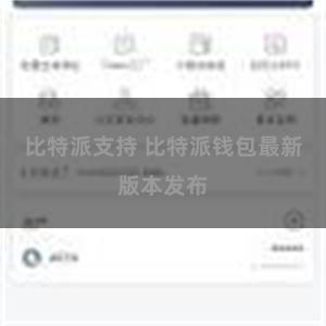 比特派支持 比特派钱包最新版本发布