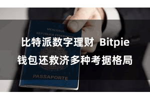 比特派数字理财 Bitpie钱包还救济多种考据格局
