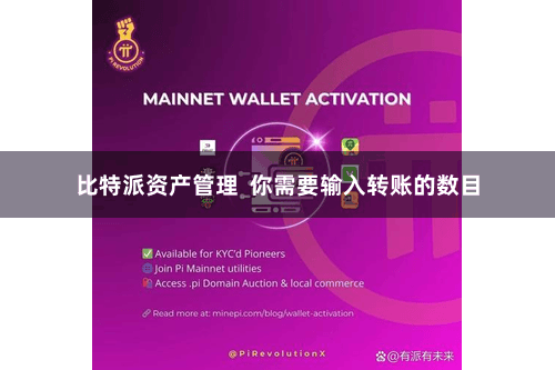 比特派资产管理  你需要输入转账的数目