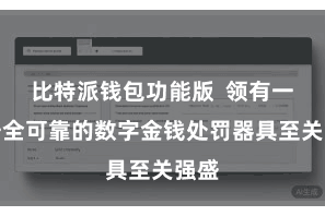 比特派钱包功能版  领有一款安全可靠的数字金钱处罚器具至关强盛