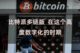 比特派多链版  在这个高度数字化的时期